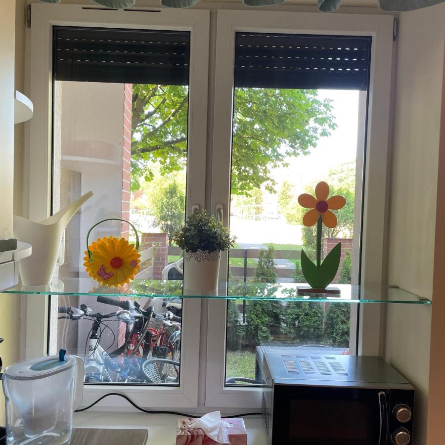 קולובז'ג Lux Garden Apartment מראה חיצוני תמונה